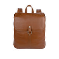BROSNAN 01 BACK PACK