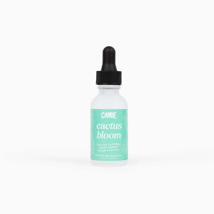 Fragrance Oil Refill Lifestyle